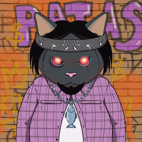 El Gatos Cartel
