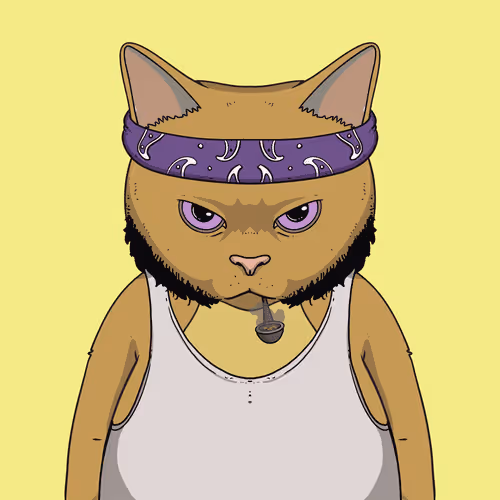 El Gatos Cartel