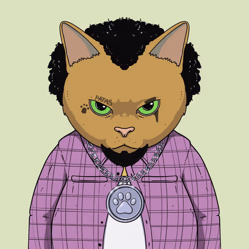 El Gatos Cartel