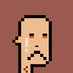 Punk #1917