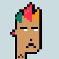 Punk #843