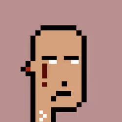 Punk #2294