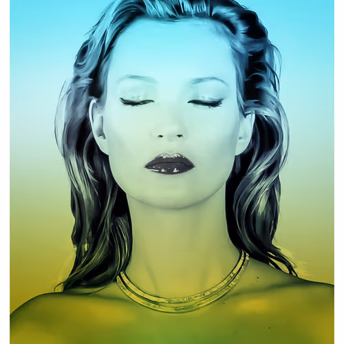 Icons By Chris Levine