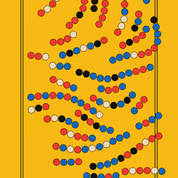 255