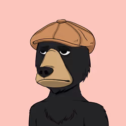 NotOkayBears #8548