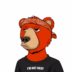 NotOkayBears #7054