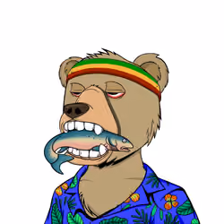 NotOkayBears #1695