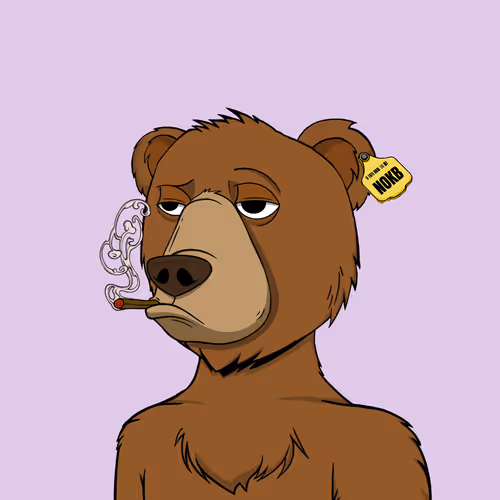 Not Okay Bears