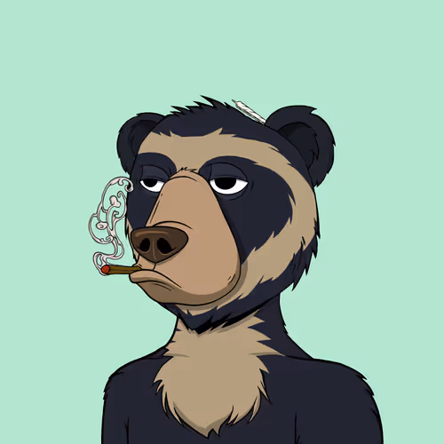 Not Okay Bears