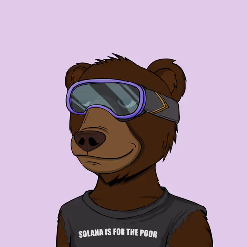 Not Okay Bears