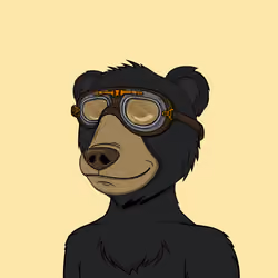 NotOkayBears #2000
