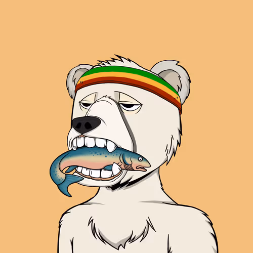 Not Okay Bears