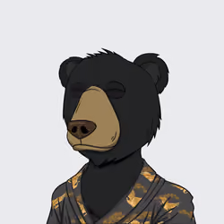 NotOkayBears #1639