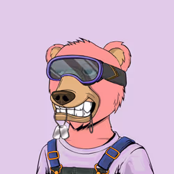 NotOkayBears #8051