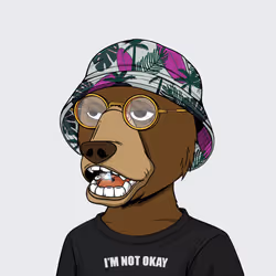 NotOkayBears #3051