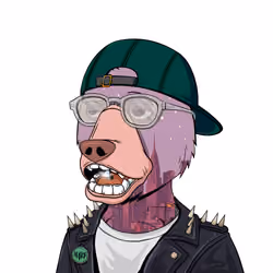 NotOkayBears #9798