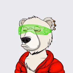 NotOkayBears #306