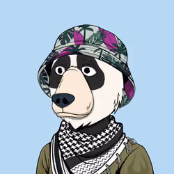 NotOkayBears #1026