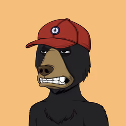 NotOkayBears #6786