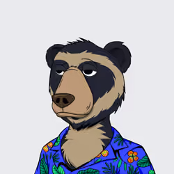 NotOkayBears #6944