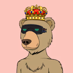 NotOkayBears #4884