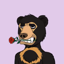 NotOkayBears #1994