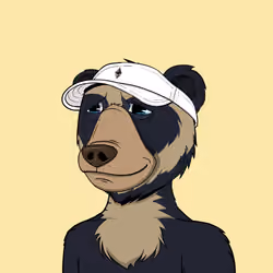 NotOkayBears #4616