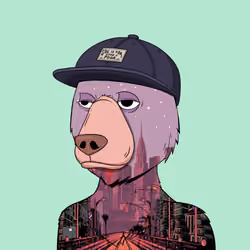 NotOkayBears #8240