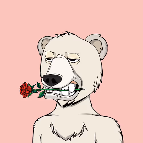 Not Okay Bears