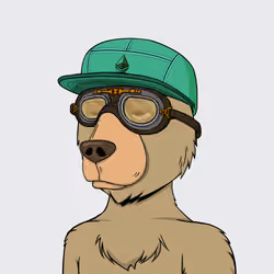 NotOkayBears #8876