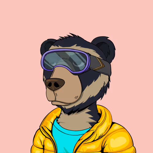 Not Okay Bears