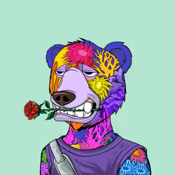 NotOkayBears #3372