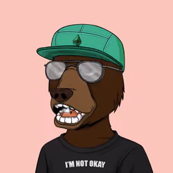 NotOkayBears #6809