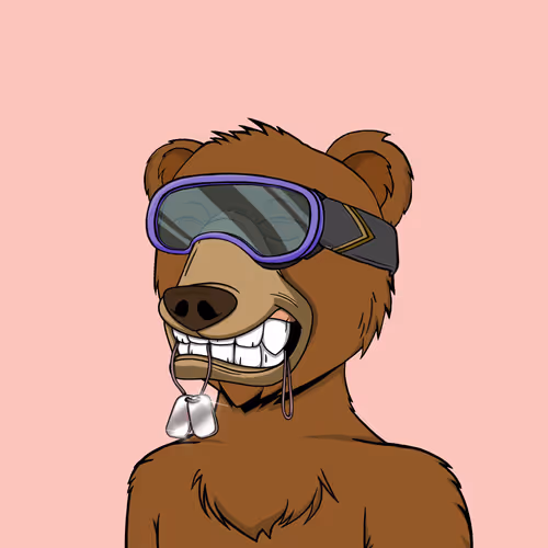 Not Okay Bears