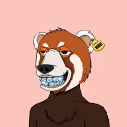 NotOkayBears #8953