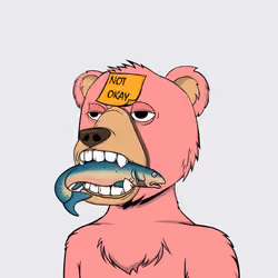 NotOkayBears #3479
