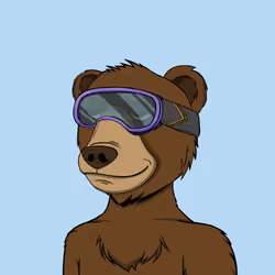 NotOkayBears #8645