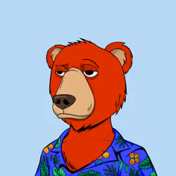 NotOkayBears #1586
