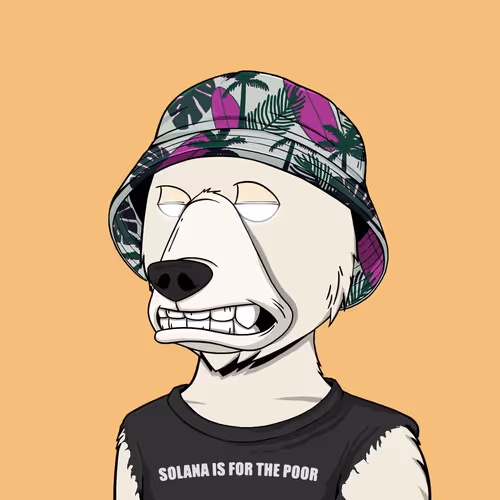 Not Okay Bears