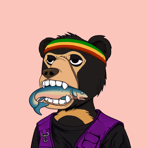 Not Okay Bears