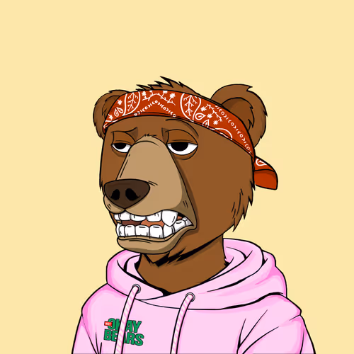 Not Okay Bears