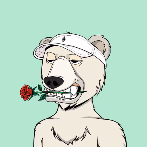 NotOkayBears #9951