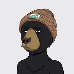 NotOkayBears #8278