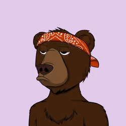 NotOkayBears #2845