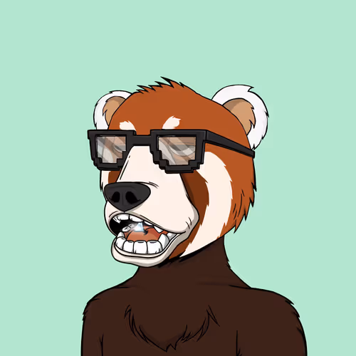 NotOkayBears #9994