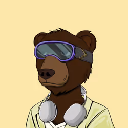 NotOkayBears #5311