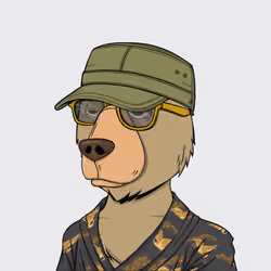 NotOkayBears #4485