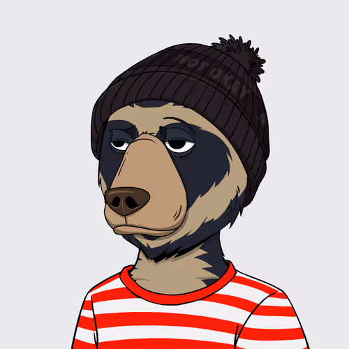 Not Okay Bears