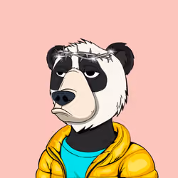 NotOkayBears #3154