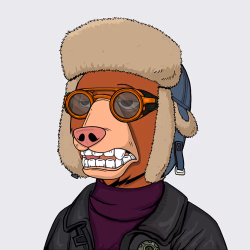 Not Okay Bears